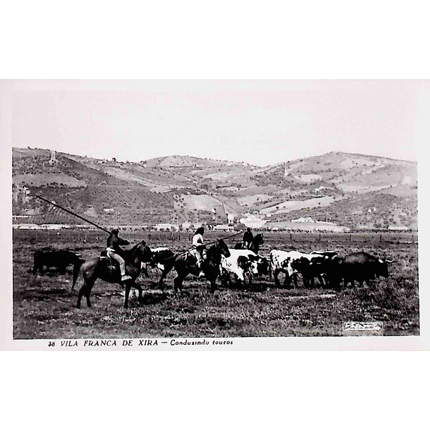 1940's Bilhete Postal de Vila Franca de Xira. Conduzindo touros