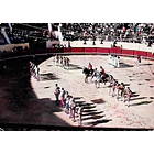 1960's Bilhete Postal de Vila Franca de Xira. Corrida de Touros à Portuguesa 1