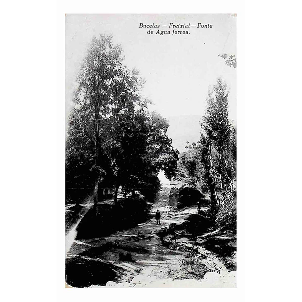 1930's Bilhete Postal de Bucelas. Freixial. Fonte da Água Férrea