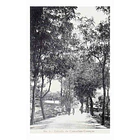 1910's Bilhete Postal de Caneças. Estrada de Camarães 1