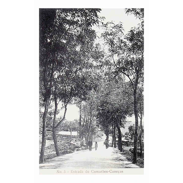 1910's Bilhete Postal de Caneças. Estrada de Camarães
