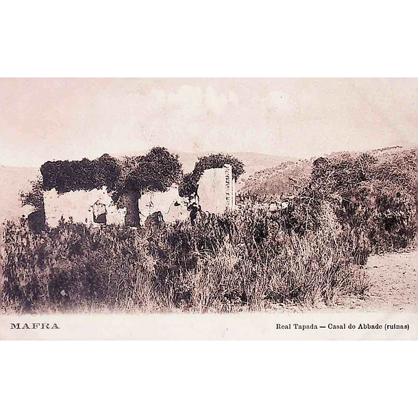 1900's Bilhete Postal de Mafra. Real Tapada
