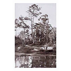 1930's Bilhete Postal de Mafra. Recinto das Lagoas - Tapada 1