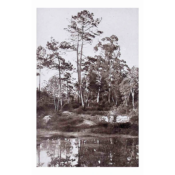 1930's Bilhete Postal de Mafra. Recinto das Lagoas - Tapada