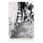 1900's Bilhete Postal de Carnaxide. Rocha. Gruta 1