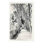 1920's Bilhete Postal de Colares. Estrada para a Várzea 1