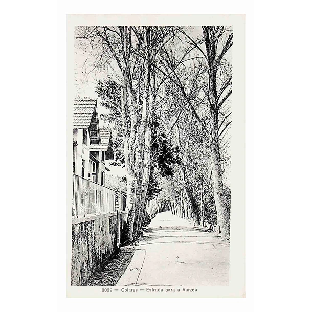 1920's Bilhete Postal de Colares. Estrada para a Várzea