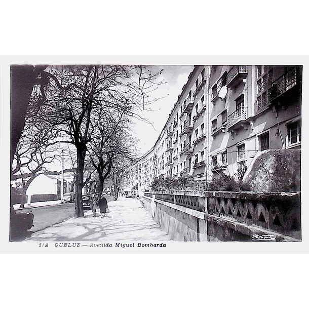 1950's Bilhete Postal de Queluz. Avenida Miguel Bombarda