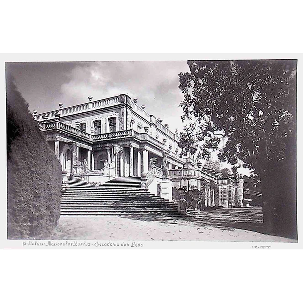 1950's Bilhete Postal de Queluz. Palácio Nacional. Escadaria do Leão