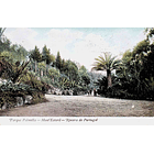 1910's Bilhete Postal do Monte Estoril. Parque Palmela 1