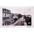 1900's Bilhete Postal do Monte Estoril. Avenida Sabóia 1