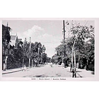 1900's Bilhete Postal do Monte Estoril. Avenida Sabóia 1