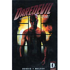 Daredevil. The Murdock Papers 1