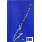 Surfer d'Argent 2