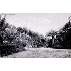 1910's Bilhete Postal do Monte Estoril. Parque Palmela 1
