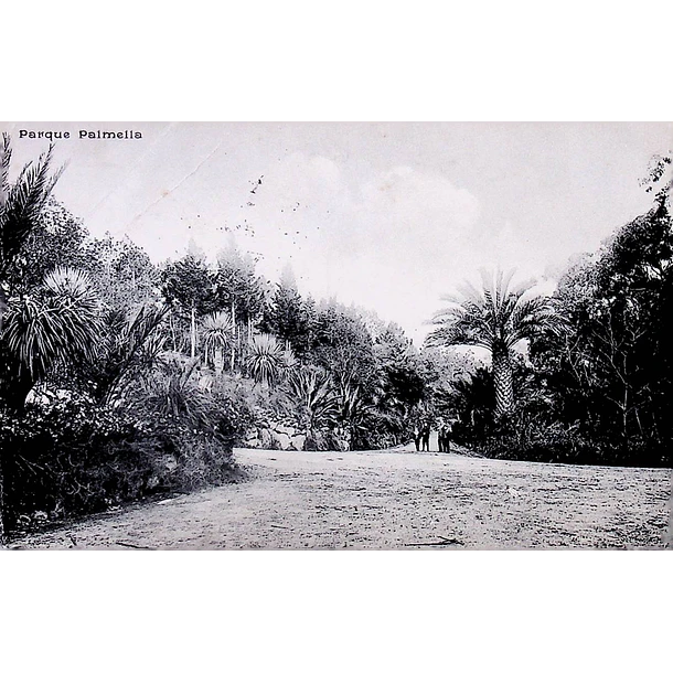 1910's Bilhete Postal do Monte Estoril. Parque Palmela 1