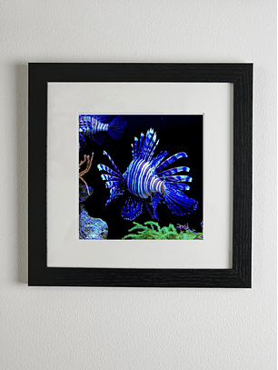 Marco madera MDF Negro liso con paspartú y vidrio 20x20 cms. 