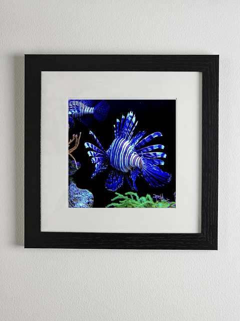 Marco madera MDF Negro liso con paspartú y vidrio 20x20 cms.  1