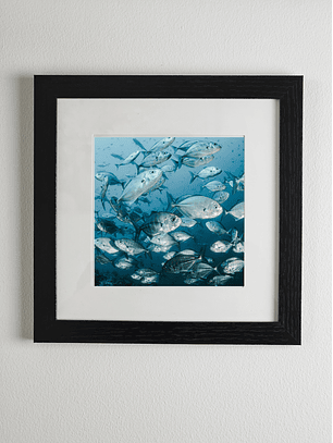 Marco madera MDF Negro liso con paspartú y vidrio 20x20 cms. 