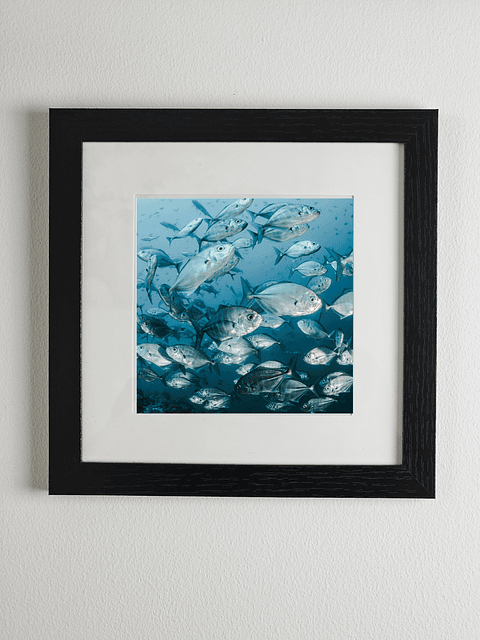 Marco madera MDF Negro liso con paspartú y vidrio 20x20 cms.  2