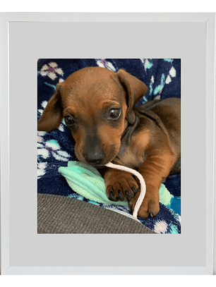 Marco madera MDF Blanco liso 40x50 Acrílico 