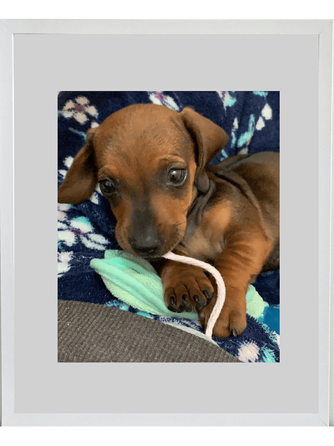 Marco madera MDF Blanco liso 40x50 Acrílico  1