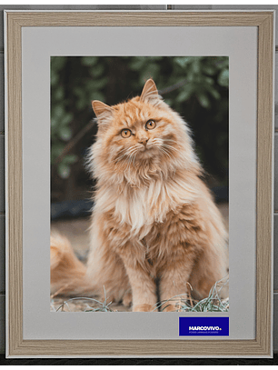 Marco madera MDF color abeto liso bisel blanco 30x40 vidrio