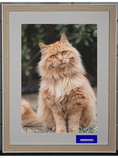 Marco madera MDF color abeto liso bisel blanco 30x40 vidrio 1