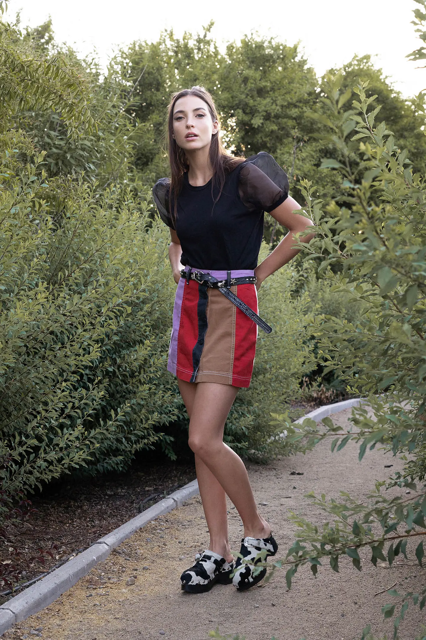 Margarita negra 4