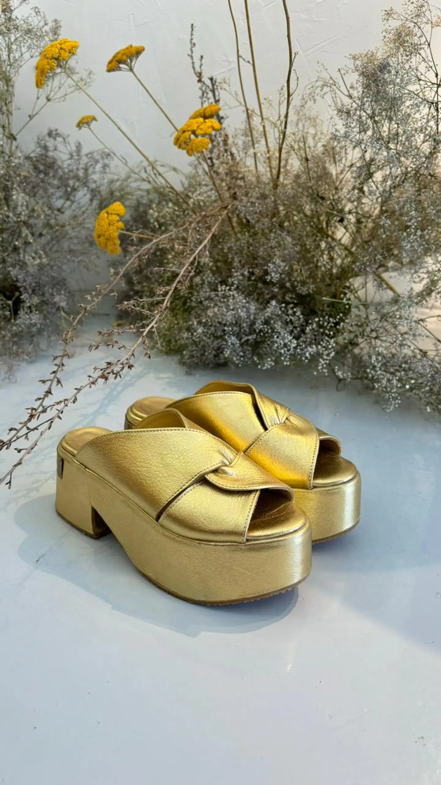 Guadalupe Gold 3