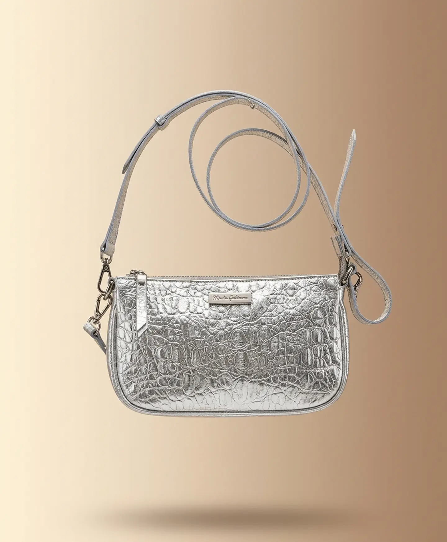 Cartera Plata 1