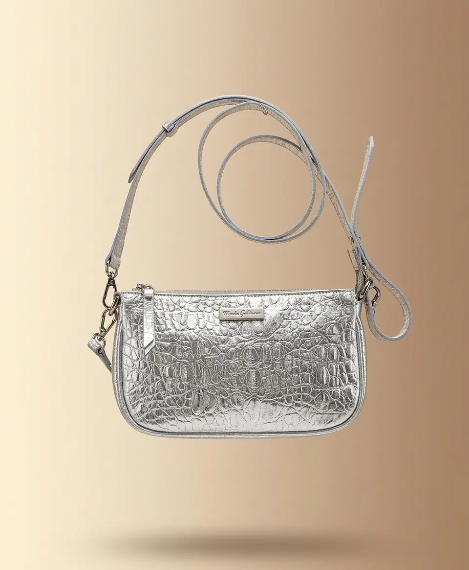 Cartera Plata 1