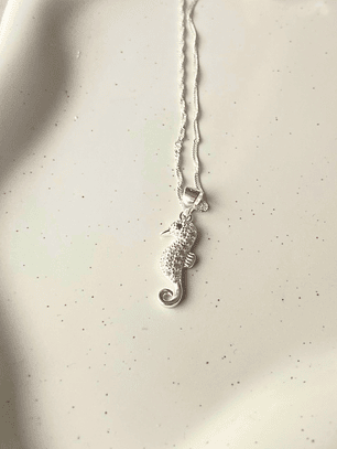 Conjunto Caballito de Mar