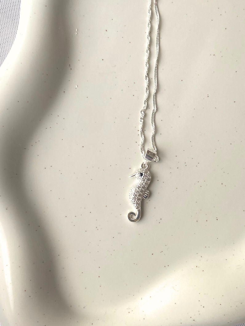 Conjunto Caballito de Mar 3