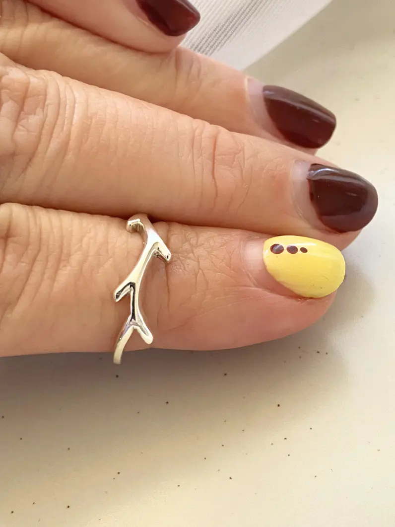 Anillo Rama - plata 925 2
