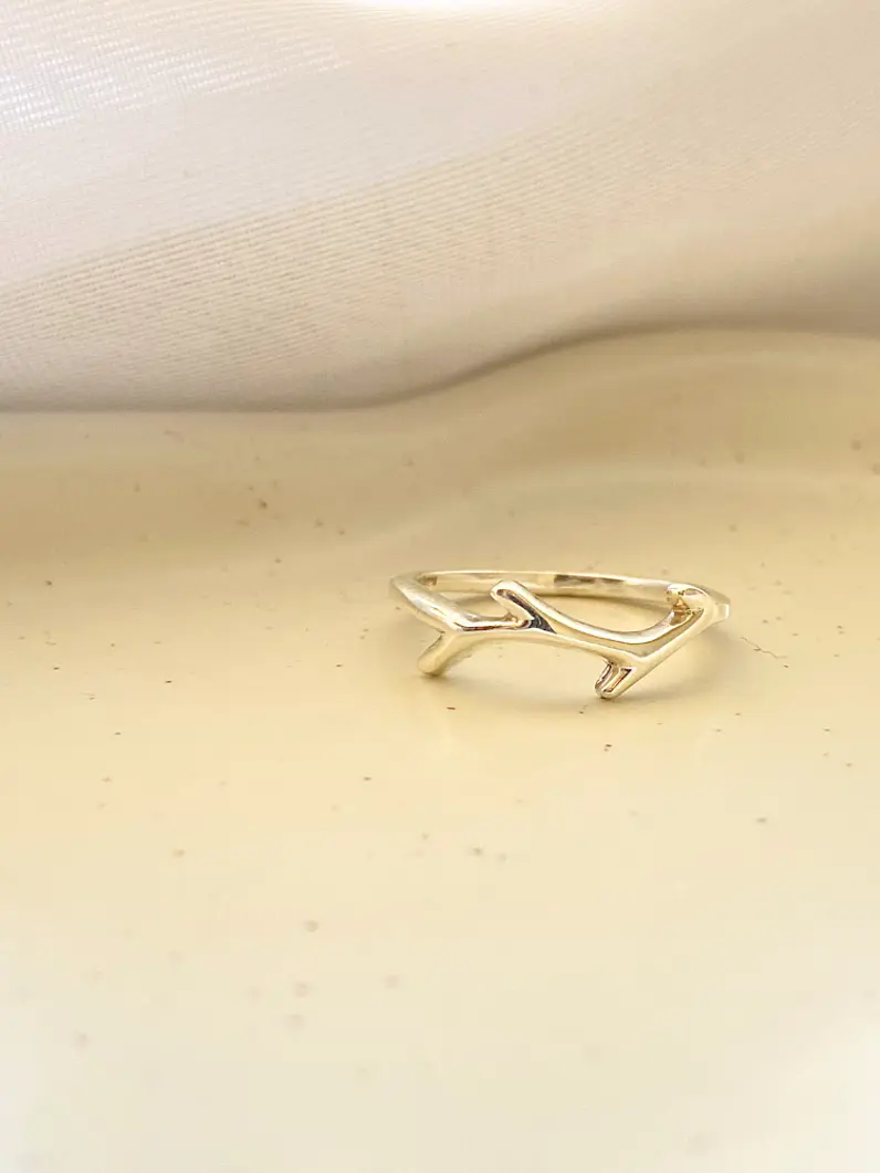 Anillo Rama - plata 925 1