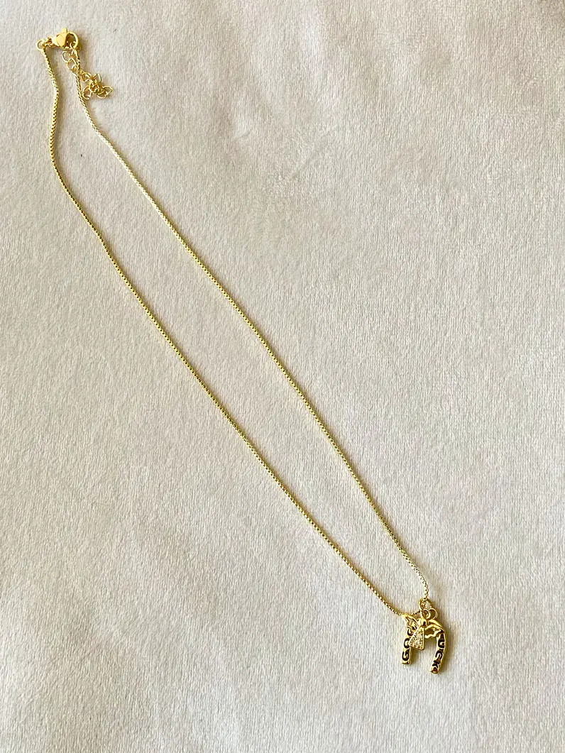 Collar Ángel Guardián con Herradura 5