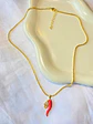 Collar Ají Amuleto - Miniatura 3