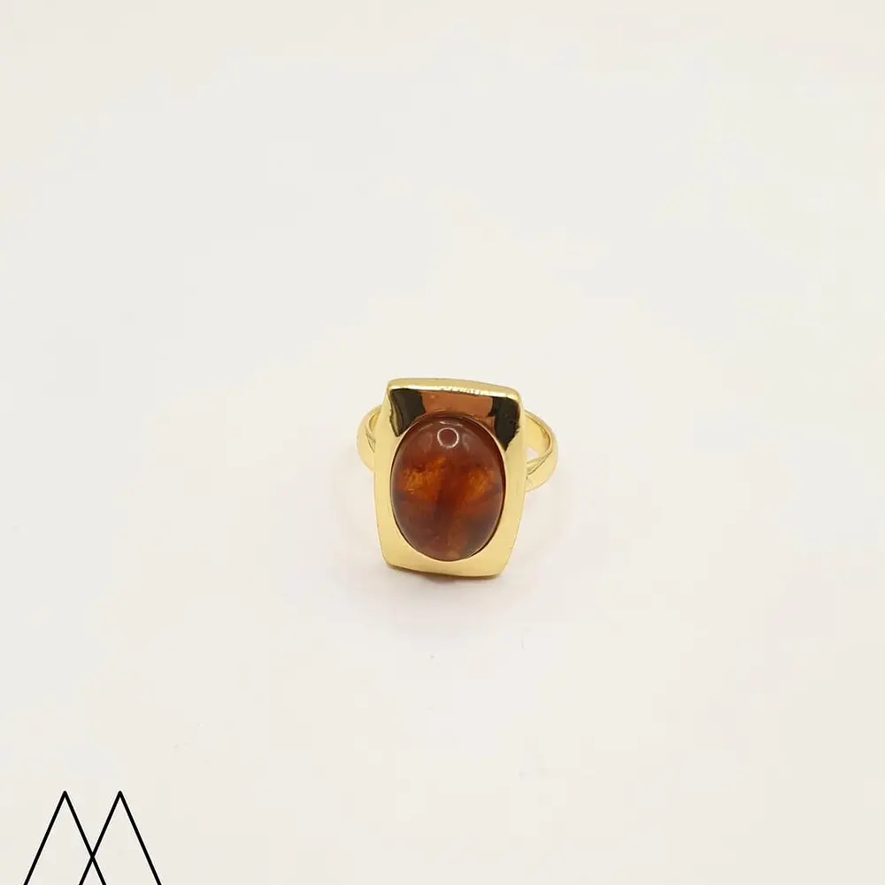 Anillos Resina Carey