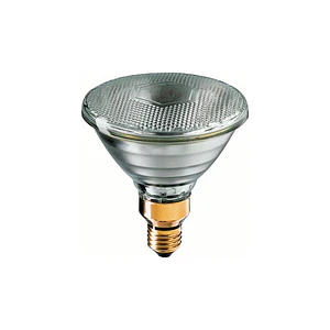 Lâmpada PAR38 120W E27 24V SP 10D 1CT/12 Philips