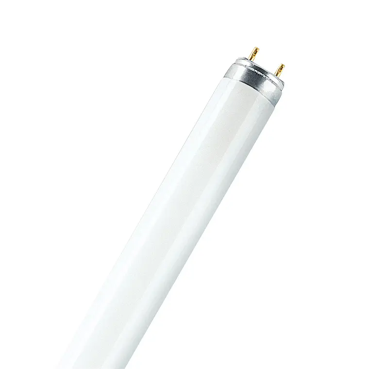 Lâmpada FLUORA T8 L 77 G13 Osram 1
