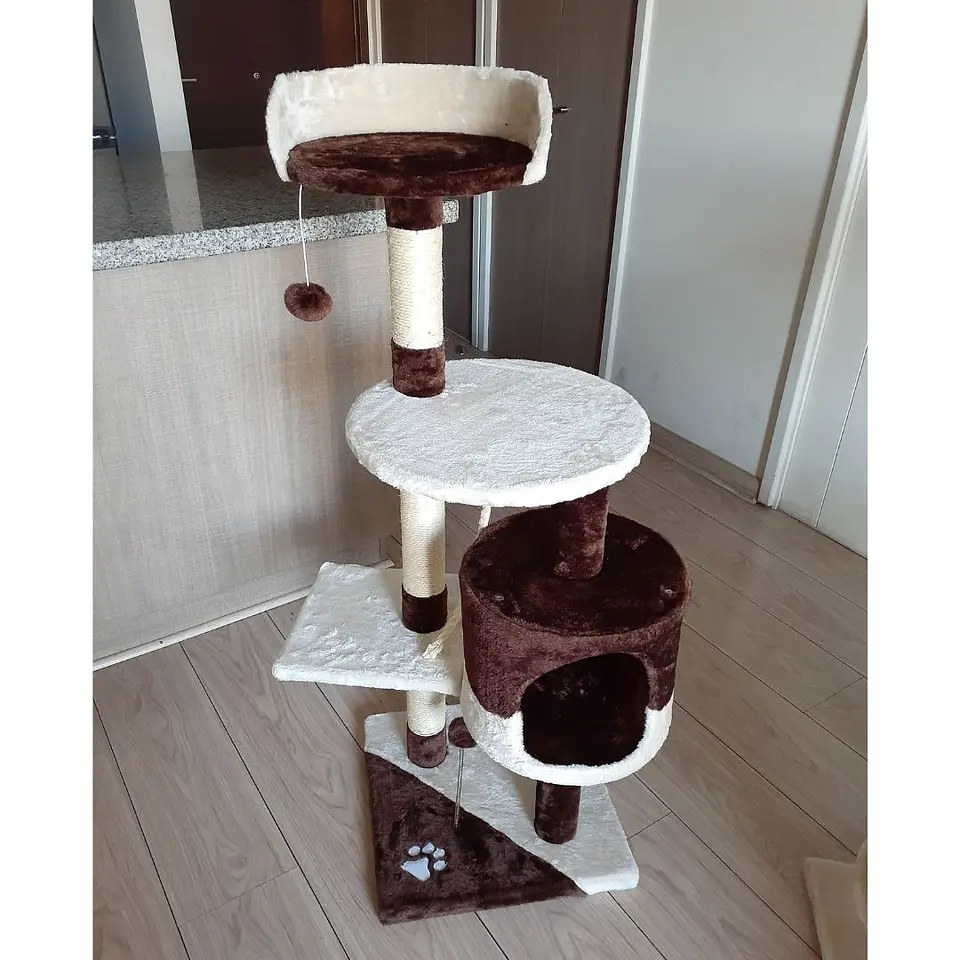 Rascador o casa para Gatos Pequeño 4