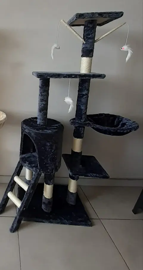 Rascador o casa para Gatos con hamaca