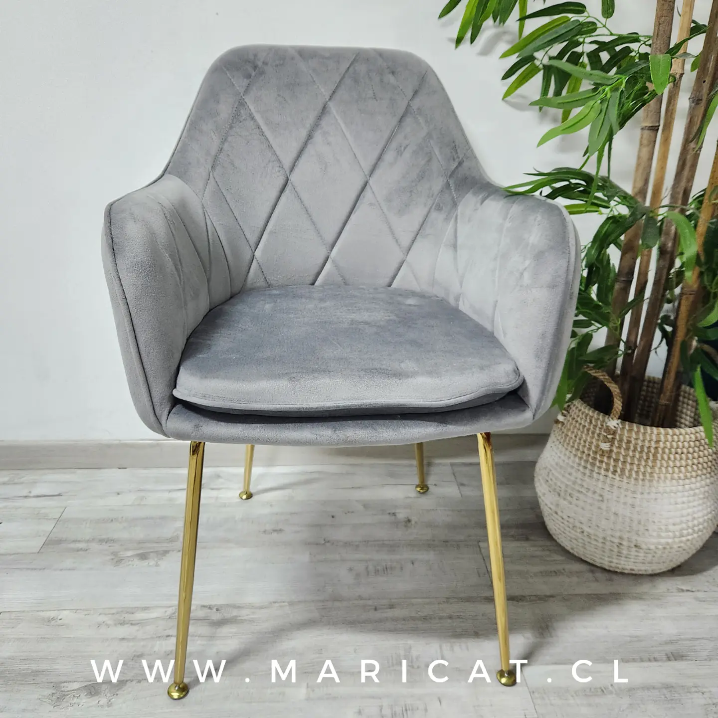 Sillón Velvet Bagual gold- living comedor  1
