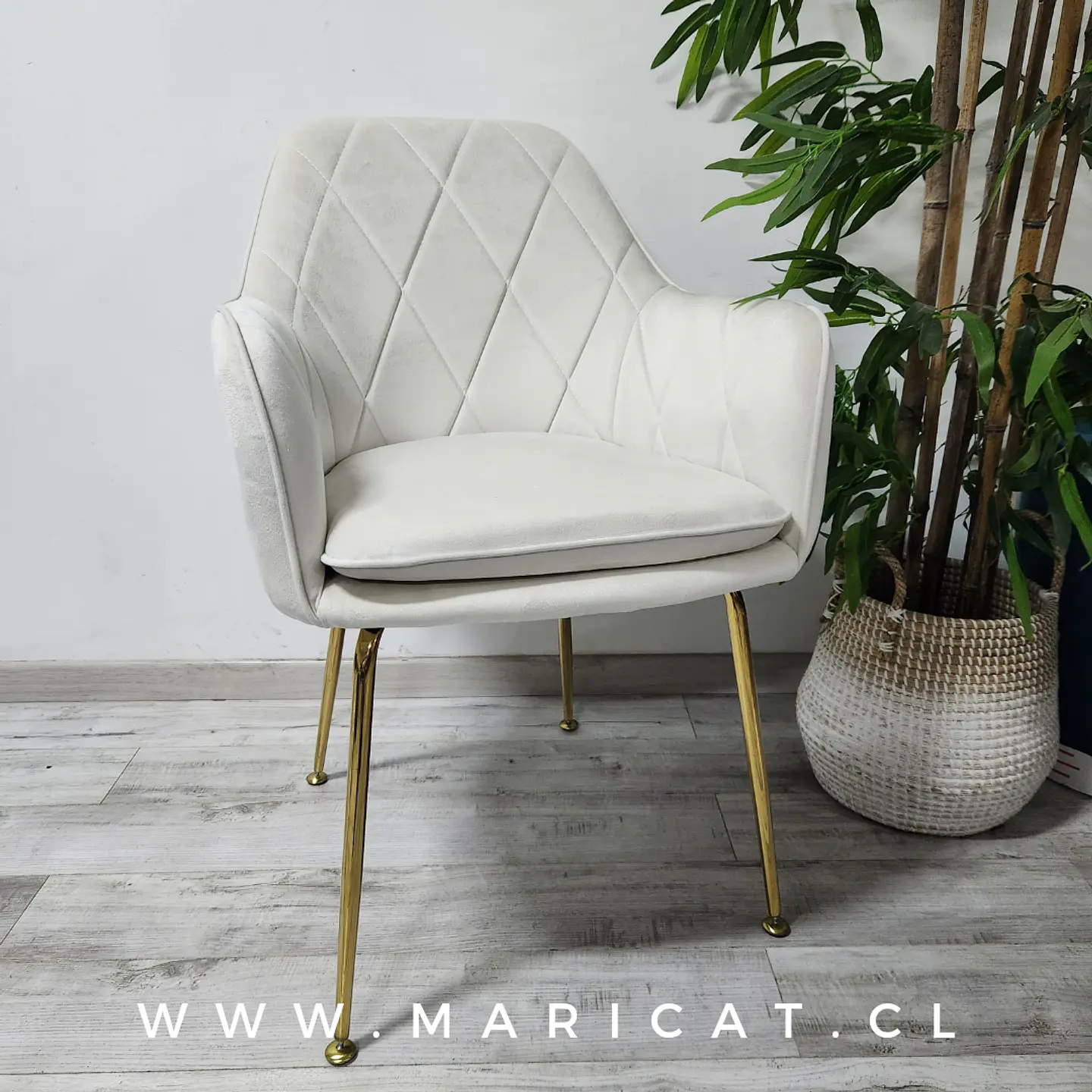 Sillón Velvet Bagual gold- living comedor  2
