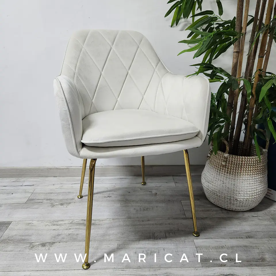 Sillón Velvet Bagual gold- living comedor  2