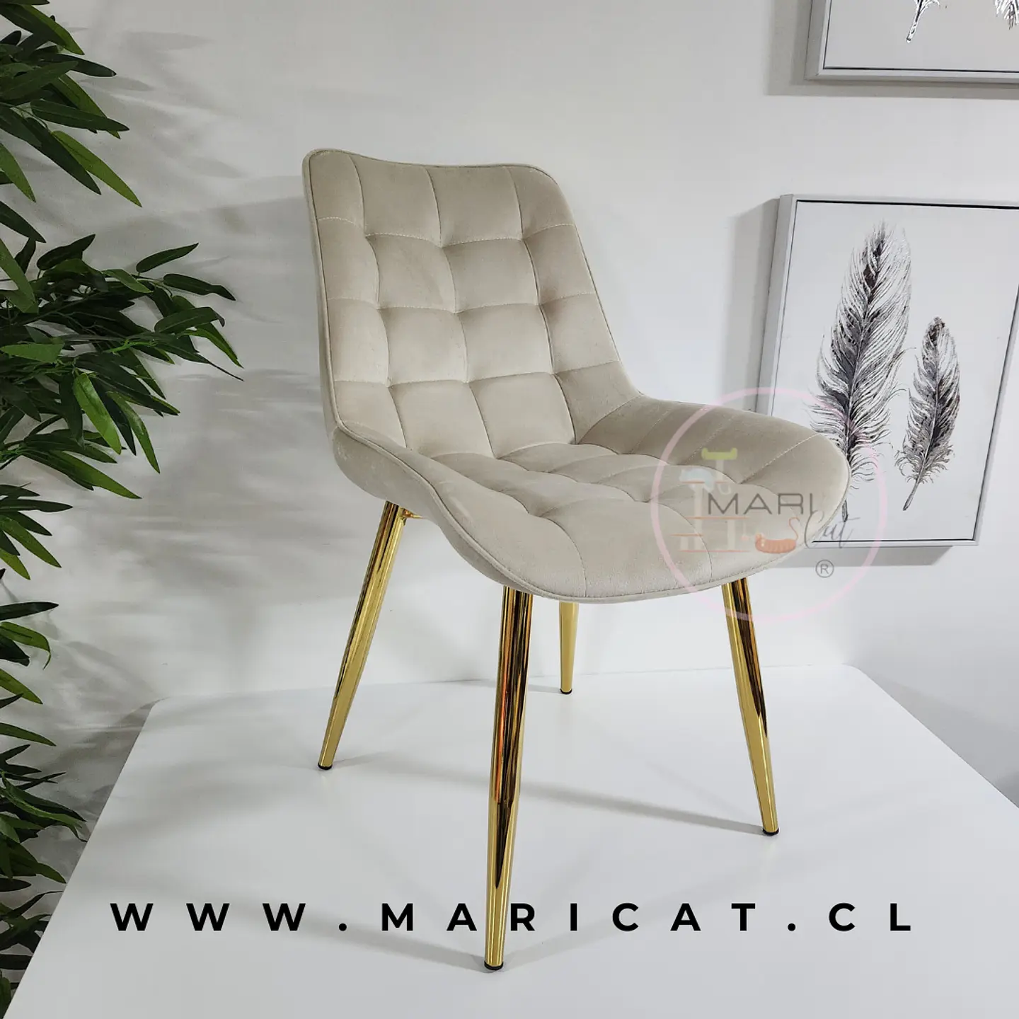 Silla Capitoné Velvet Beige – Living y Recepción 1