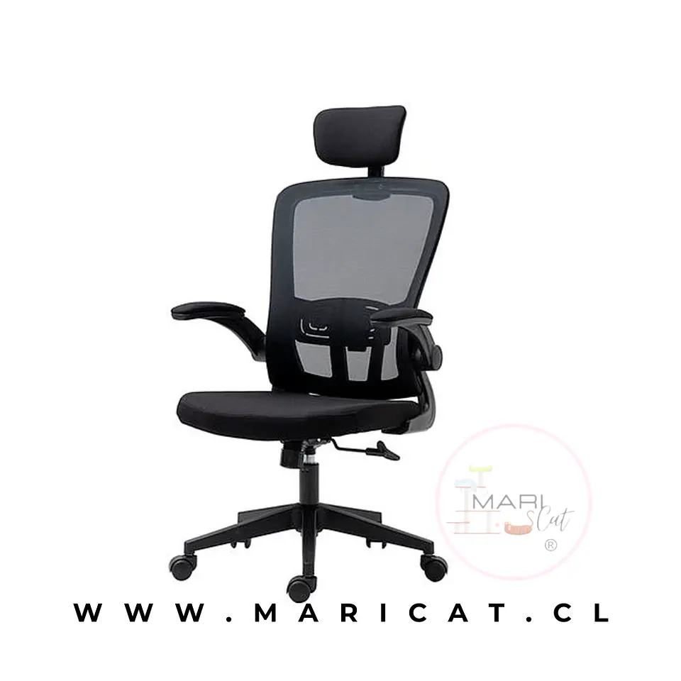 Silla Escritorio Elite Ergonomica y Regulable 1