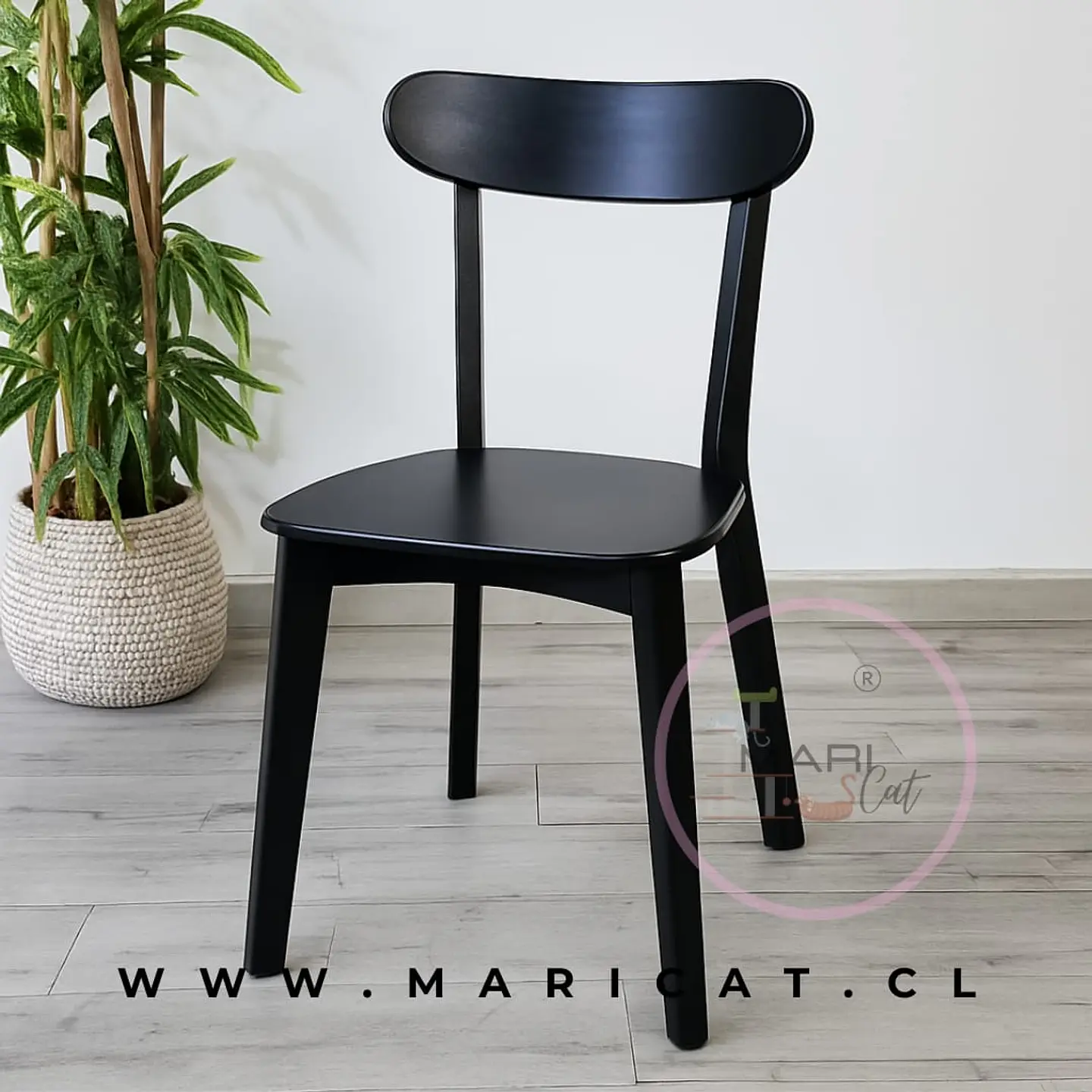 Pack de 4 Sillas Fresno de Madera Maciza 4