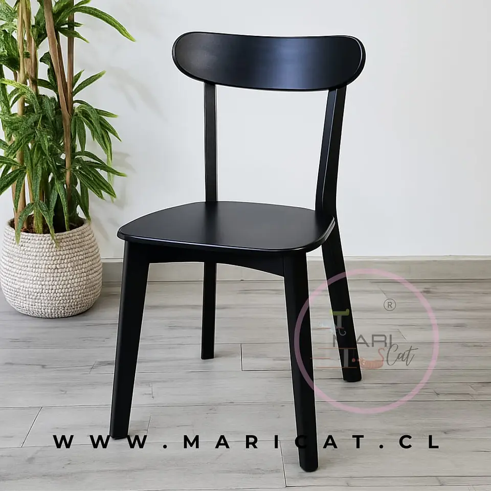 Pack de 4 Sillas Fresno de Madera Maciza 4